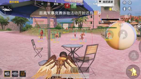 和平精英护航外挂